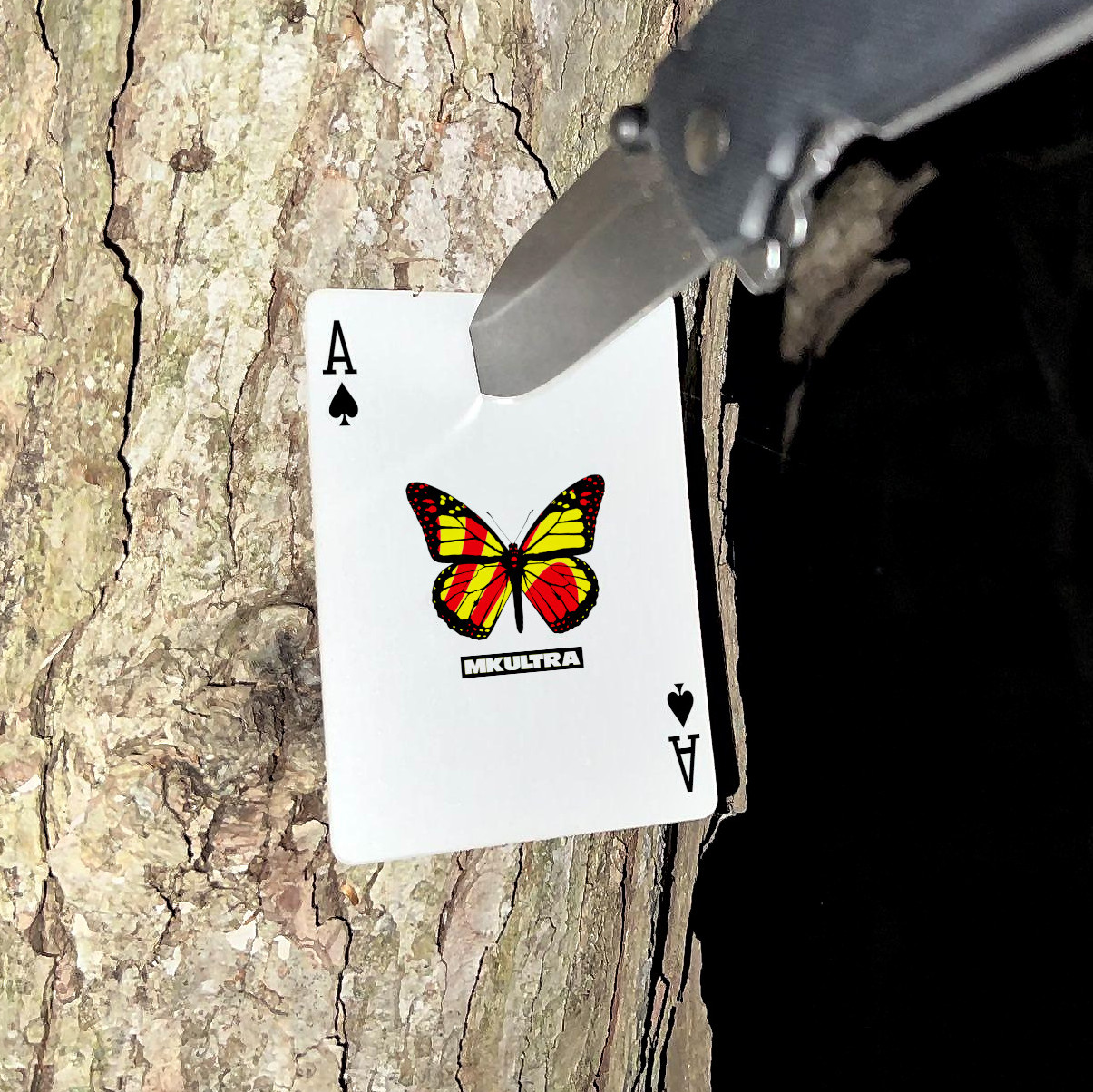 ace of spades stabbed into a tree